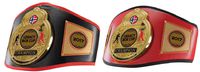 The Legacy Belts 2017